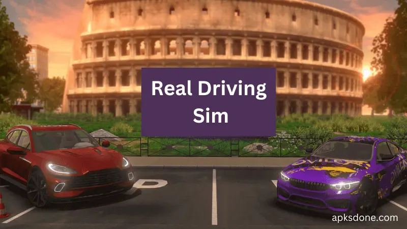 Real Driving Sim Apk