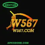 W567 Game